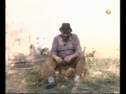 gojko todorovic  kako lepo kazu u Vilovu