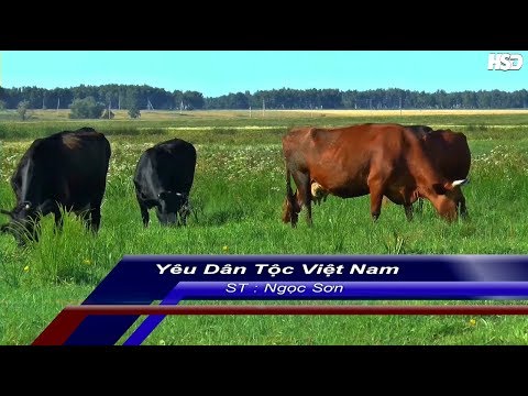 Yêu Dân Tộc Việt Nam Ngọc Sơn - Karaoke (Beat chuẩn)