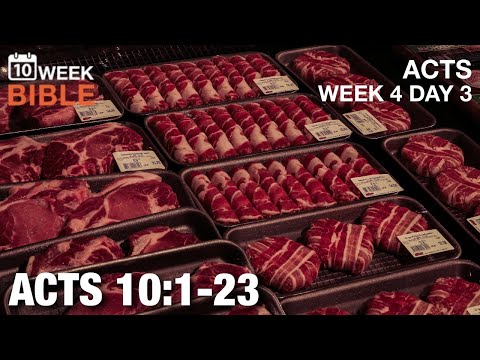 Peter’s Vision | Acts 10:1-23 | Week 4 Day 3 Study of Acts