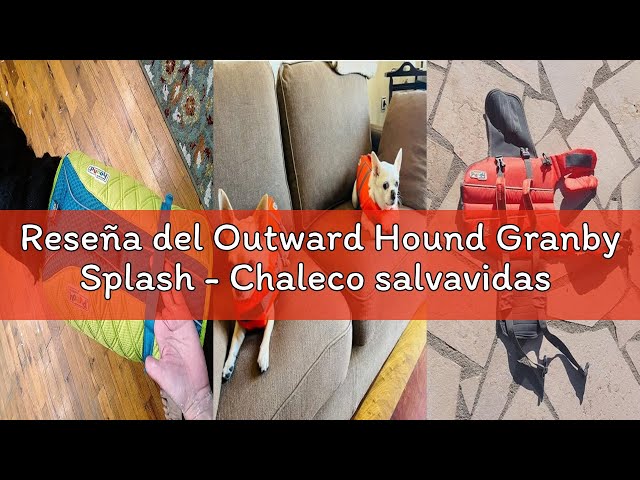 Vídeo relacionado con Outward Hound Granby Splash - Chaleco salvavidas para perros - Naranja - XS