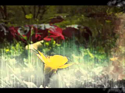 Gago ft Hergele - Yalanci Bebegim...