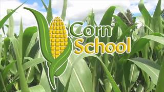 Corn School: Planting Depth