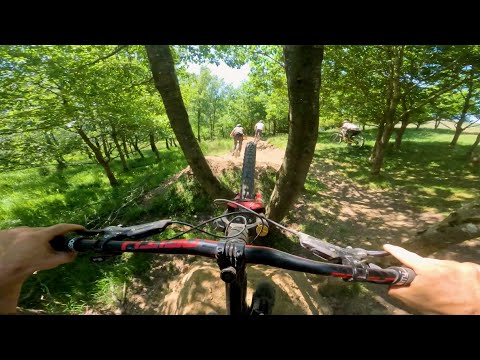 This UK bike park trail ends with a jump through a tree m8 🌲