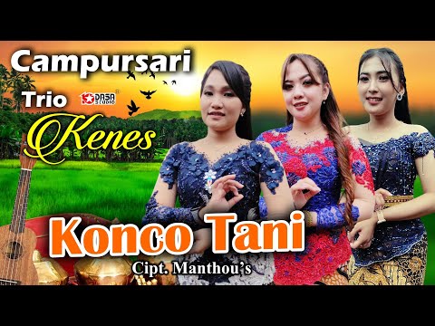 KONCO TANI TRIO KENES #Dasastudio