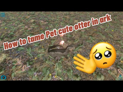 How to tame pet cute otter in ark 🥺