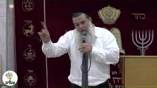 החיים תותים - הרב יגאל כהן HD - הרצליה