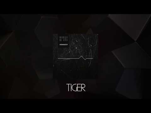 NDNM - Tiger feat. DRYMAN