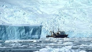 Antarctic expedition stranded in ice amid blizzard