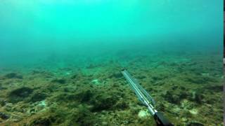Spearfishing, Majuro Atoll, Marshall Islands, Jan 2015 Berger