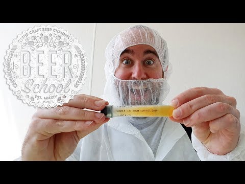 Beer School: what is yeast? | The Craft Beer Channel