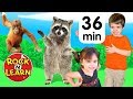 Dance With The Animals