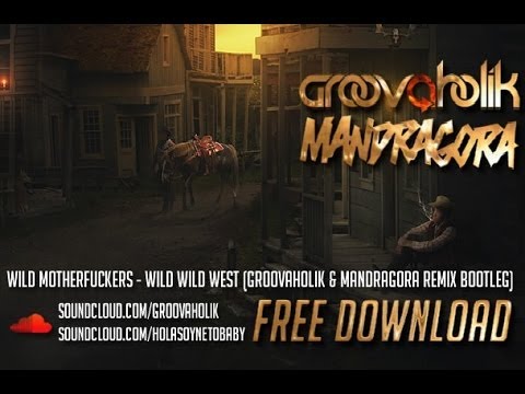 Groovaholik - Hallucinated Open Air - 23.11.2013