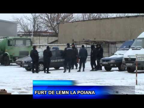 FURT DE LEMN LA POIANA