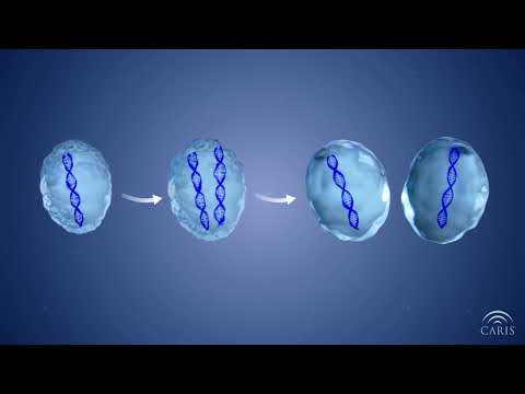 Genomic Instability | Central Principles of Molecular Biology