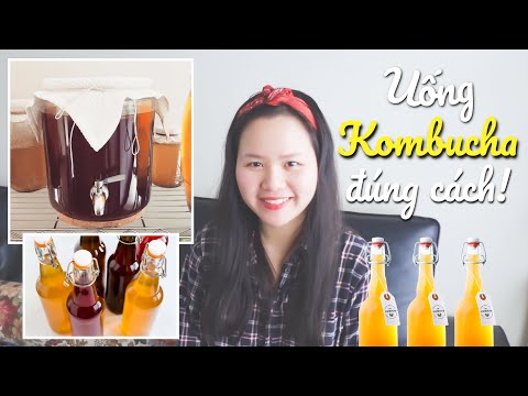 , title : 'Thời Gian & Liều Lượng Thích Hợp để Uống KOMBUCHA'