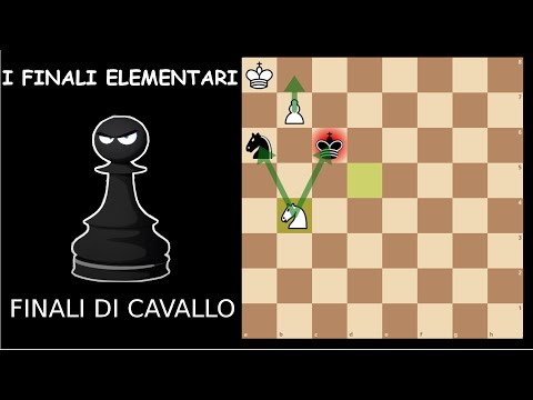 FINALI DI CAVALLO || Da ZERO A 1600⚡: FINALI ELEMENTARI