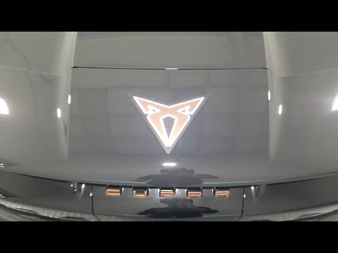 Cupra Tavascan Endurance 4 - Image 2