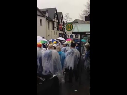 Koblenz Güls  Rosenmontagszug 2016