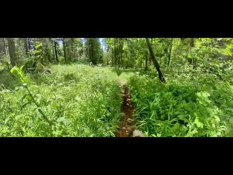 VTT - Les Pradières - Les Geneveys-sur-Coffrane