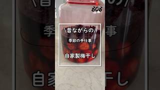 梅の季節がやってきた‼️自家製梅干しレシピ📝 #料理 #梅干し #手仕事 #自家製 #簡単レシピ #簡単料理 #レシピ #レシピ動画 #今日の晩ごはん #808青果店 #漬け物