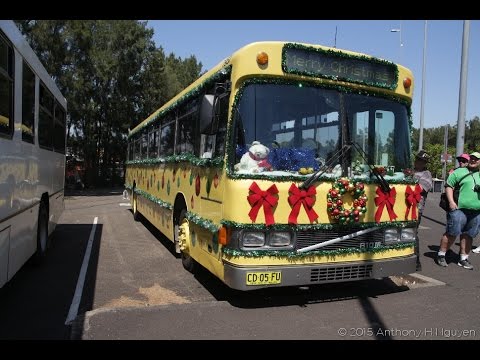 CDC Hillsbus [Northmead] Volvo B10M Mk II / Custom Coaches Mk 83, CD05FU (7957)