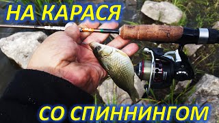 Ловится ли карась на спиннинг