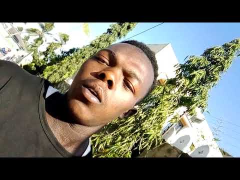 PIS KALI DON'T FORGET Apollo²