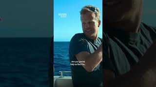 Download lagu Their jobs are dangerous, but they're experts. #TraffickedWithMarianavanZeller #DolphinsUpClose mp3 Download lagu Their jobs are dangerous, but they're experts. #TraffickedWithMarianavanZeller #DolphinsUpClose mp3