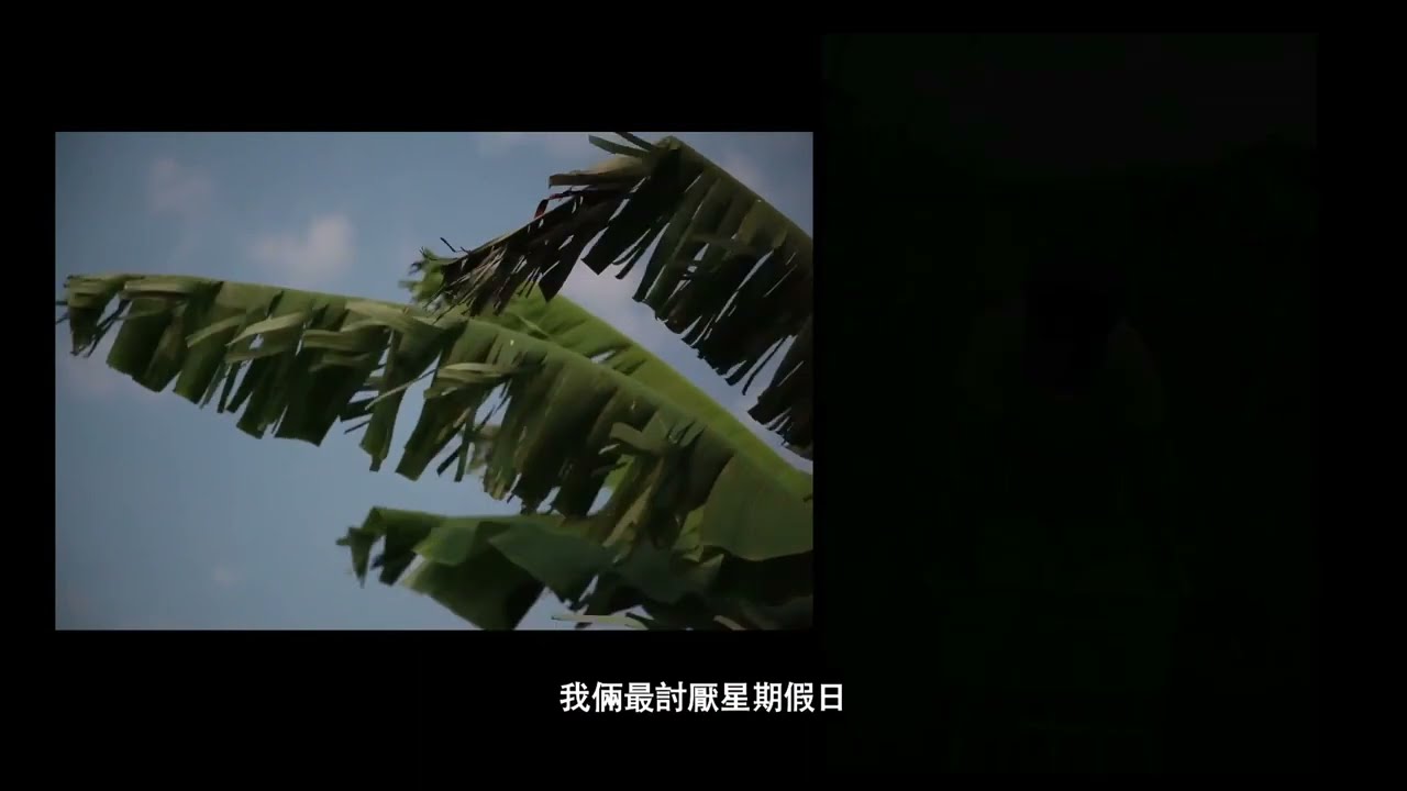 Fu-jia’s Home Movie - TRAILER
