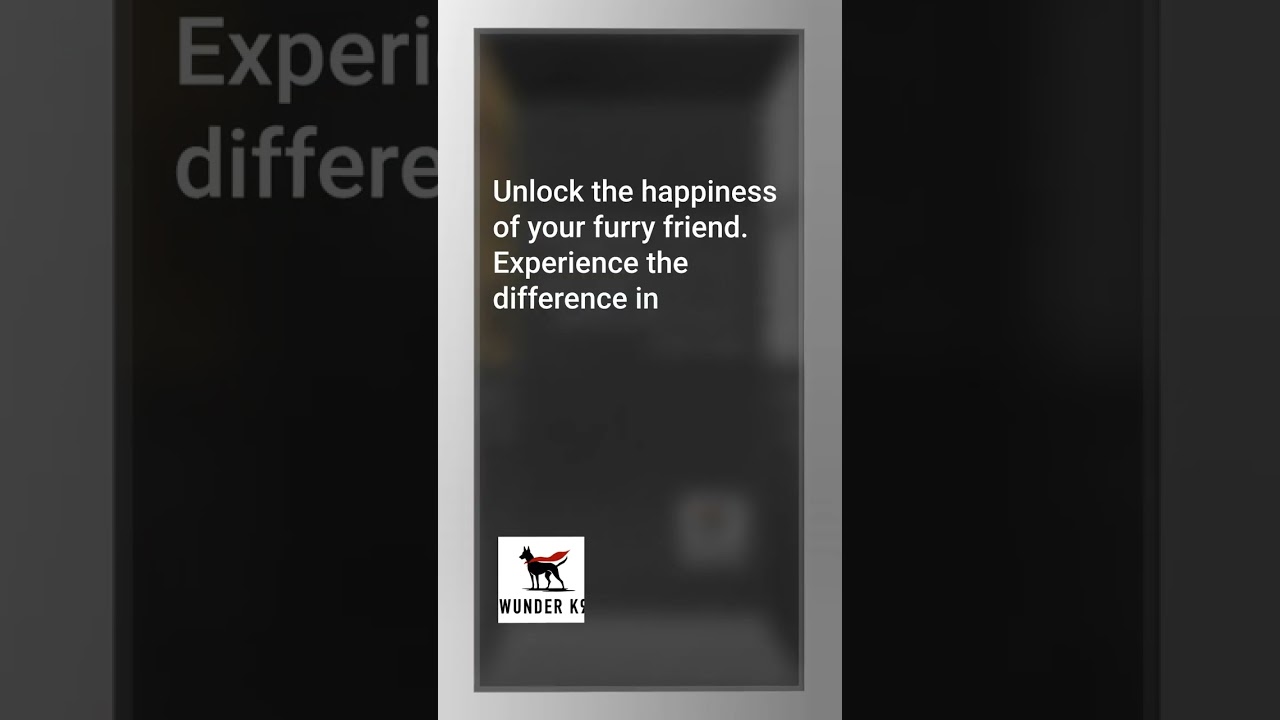 How much should I pay for a mini dachshund? How much should I pay for a