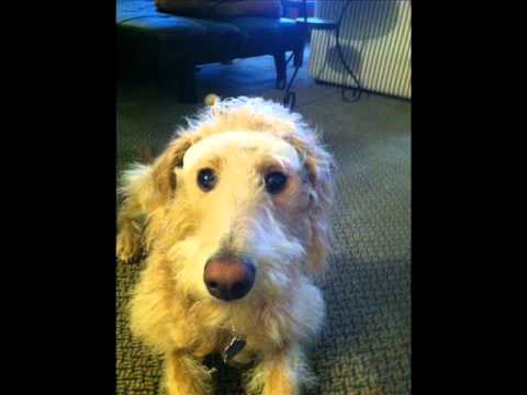 NEW - Mickey Haze - Hit Em High Freestyle