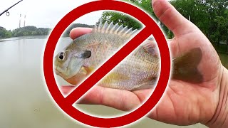 Why is The Fishing SO BAD at This Lake? This is Terrible!