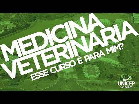Medicina Veterinária - O curso é pra mim?