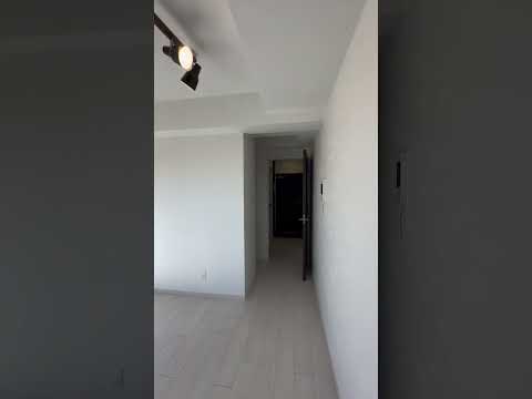 テラス-アパート-植物-ポット-日よけ-家具-籐を配置する