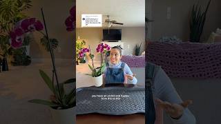 Your orchid blooms have fallen off! Now what? #orchidcare #orchidplant