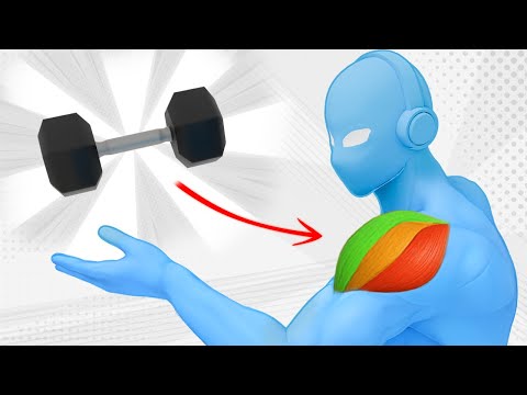 Tus hombros necesitan estos ejercicios