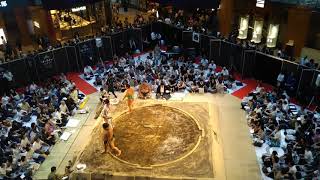 大相撲KITTE 場所2018アナウンス動画