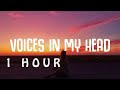 1 HOUR Skinny Days CLMD Voices In My Head Lyrics