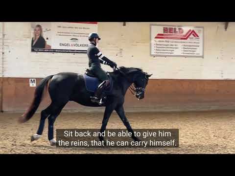 Small Circles & Canter Walk Transitions with Denali