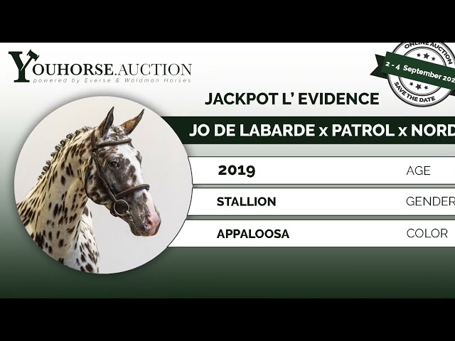 Jackpot L'Evidence