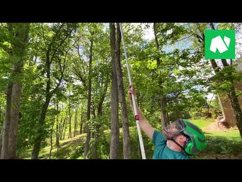 Notch 20 Foot Nobasu 4 Section Telescoping Aluminum Polesaw