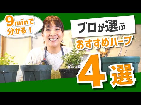 一年中香りや味を楽しむために、2月にどのハーブを植えるかを知っておくと良いでしょう。  庭園