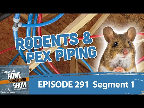 #291 Segment 1: Rodents and PEX Piping