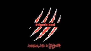 Anthony Acid & DJ Skribble - #tigerblood