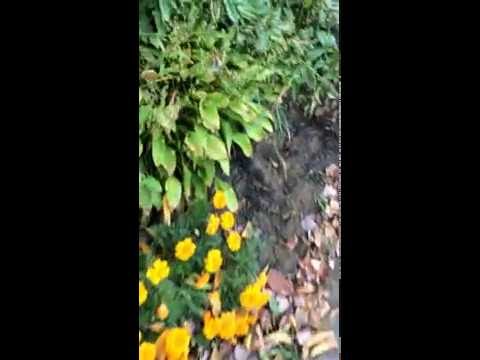 Basement Finishing & Remodeling Boston MA. Kaks Basement Finishing - Cambridge MA.