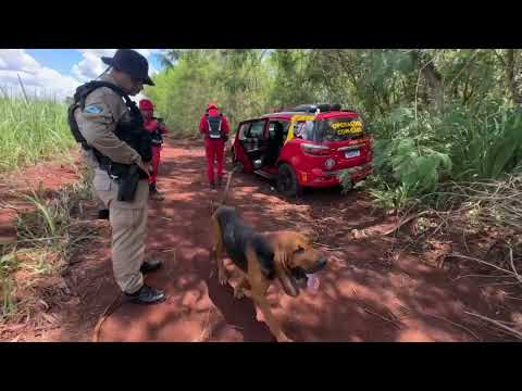 FORÇA-TAREFA MOBILIZA EQUIPES ESPECIALIZADAS NA REGIÃO DE SÃO MANOEL DO PARANÁ 
