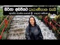 අවාරේ තනියම එරත්නෙන් සිරිපා කරුණාව Off S