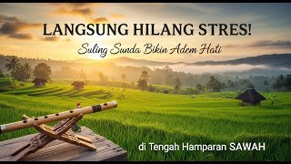 Download lagu LANGSUNG HILANG STRES! Kecapi Suling Sunda Bikin Adem Hati di Tengah Hamparan SAWAH mp3