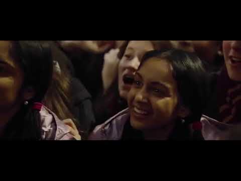 Harry Potter i Zbyszek Stonoga