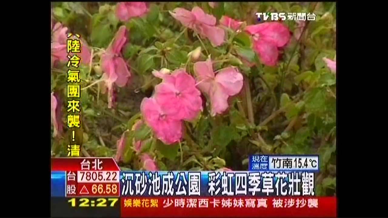 沉砂池成公園 彩虹四季草花壯觀
